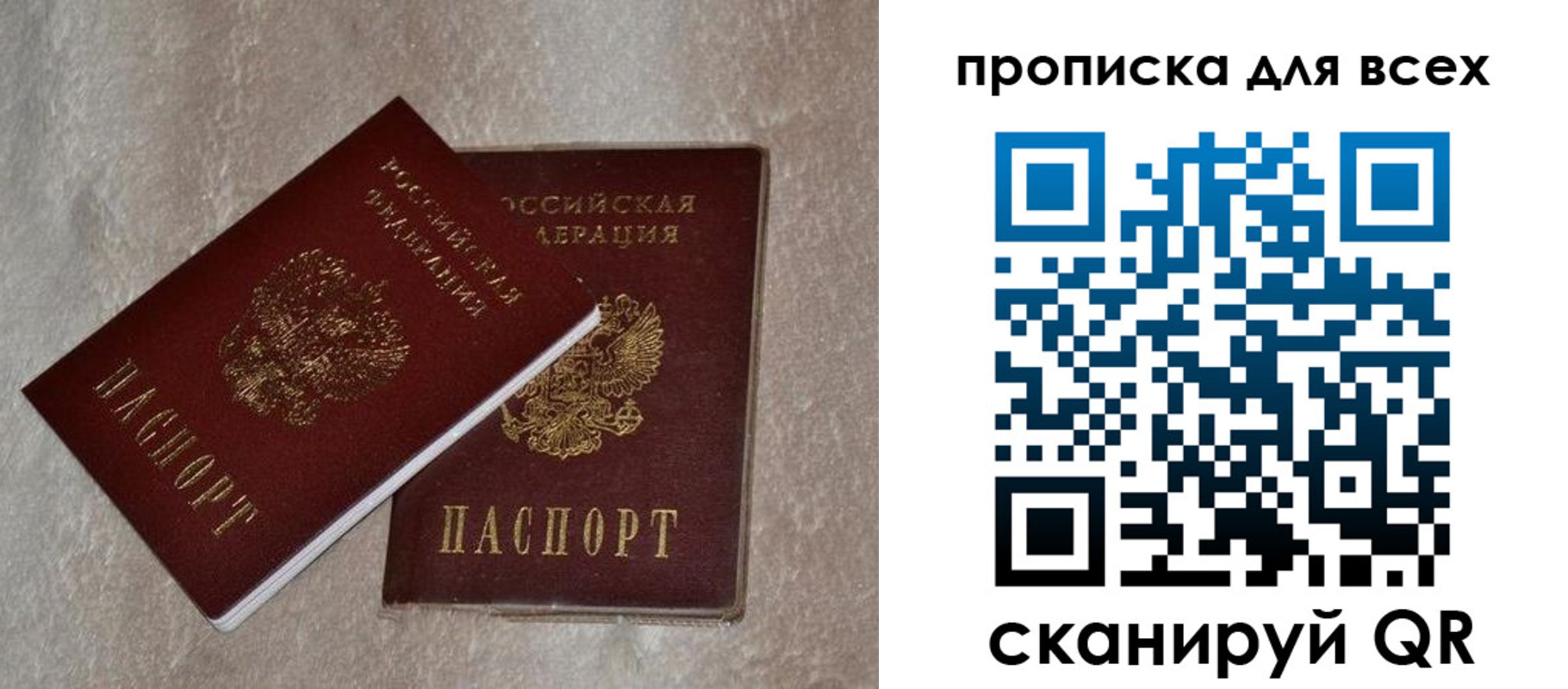 прописка в квартире в Лосино-Петровском