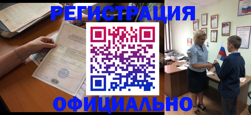 временная регистрация в квартире в Лосино-Петровском